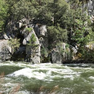 Meet your Posher, Gloria